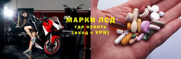 ПСИЛОЦИБИНОВЫЕ ГРИБЫ Балабаново