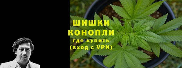 ПСИЛОЦИБИНОВЫЕ ГРИБЫ Балабаново