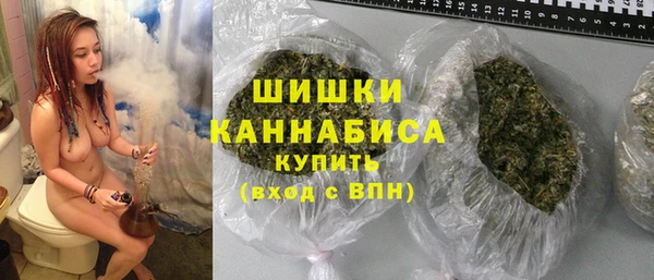 ПСИЛОЦИБИНОВЫЕ ГРИБЫ Балабаново