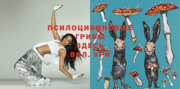 тгк Балахна