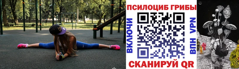 площадка как зайти  Рудня  Галлюциногенные грибы Cubensis 